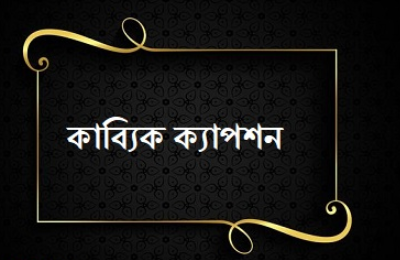 কাব্যিক ক্যাপশন ও সাহিত্যিক ক্যাপশন