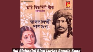 Ayi Bishadini Bina Lyrics Bangla Song